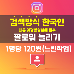 인스타그램 검색방식 한국인 팔로워 늘리기(일반작업)